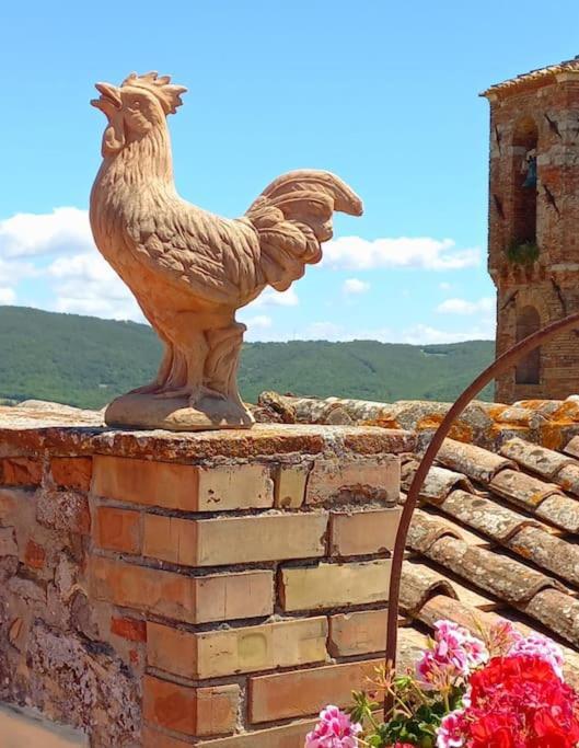 La Casa Del Gallo Radicondoli Exteriér fotografie