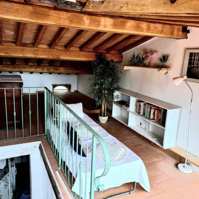 La Casa Del Gallo Radicondoli Exteriér fotografie