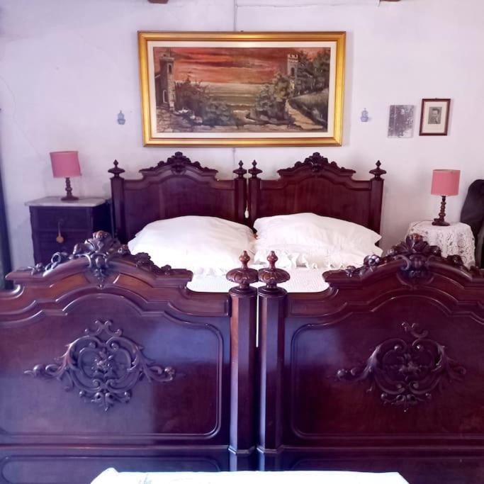 La Casa Del Gallo Radicondoli Exteriér fotografie