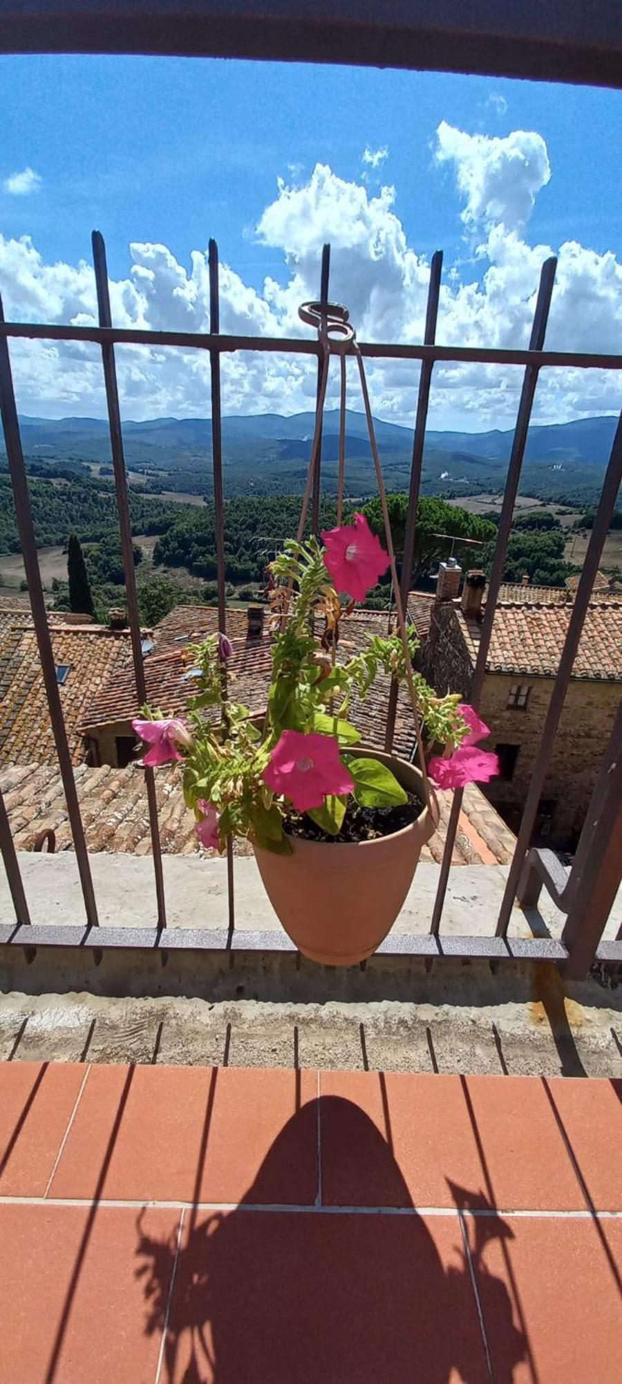 La Casa Del Gallo Radicondoli Exteriér fotografie
