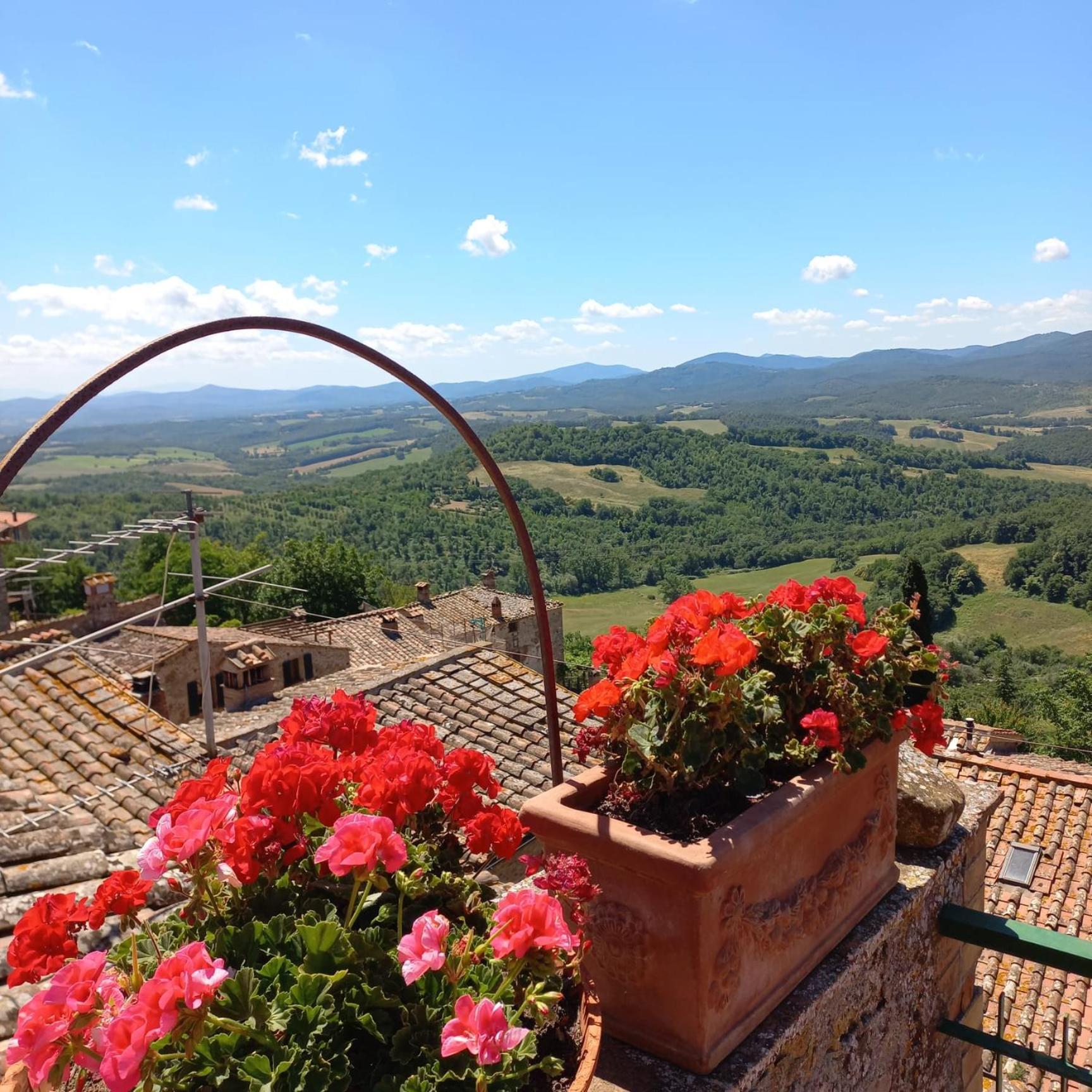 La Casa Del Gallo Radicondoli Exteriér fotografie